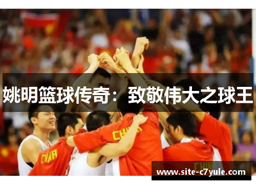 姚明篮球传奇：致敬伟大之球王