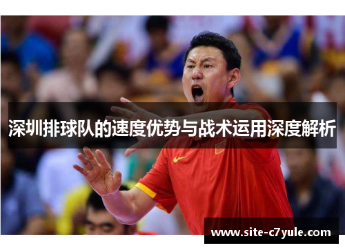 深圳排球队的速度优势与战术运用深度解析